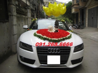 Cho thuê xe cưới Mui trần audi A4 màu trắng giá tốt nhất tại Láng hạ quận Đống đa hà nội