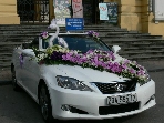 cho thue xe cuoi vip , cho thue xe cuoi vip tai ha noi , cho thue xe cuoi vip ha noi , cho thue xe c