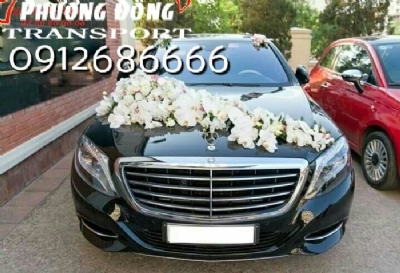 Cần mua xe mercedes e250 - 0912686789