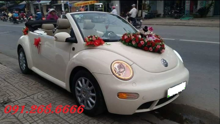 Xe cưới VolkWagen Beetle 