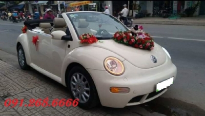 Xe cưới VolkWagen Beetle 