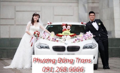 địa chỉ thuê xe cưới vip BMW 523i (giá tốt nhất hà nội