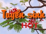 TUYỂN SINH - ĐÀO TẠO